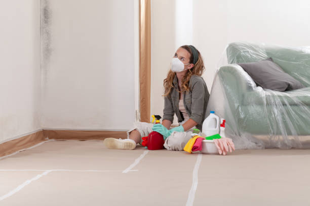 Trusted Basement Mold Remediation service in Hazlet, NJ - Cheap Mold Removal